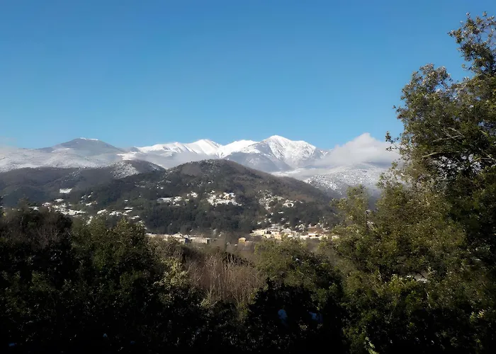 Le Mas * Arles-sur-Tech